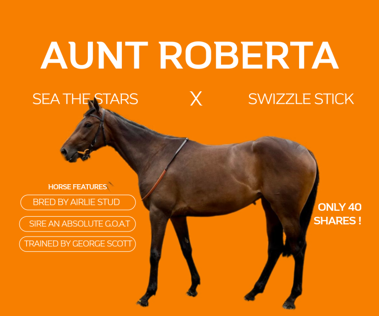 AUNT ROBERTA (IRE)