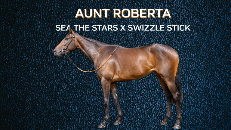 AUNT ROBERTA (IRE)