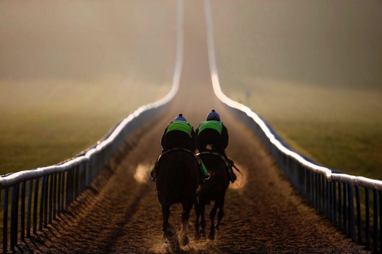 Trackwork breakfast