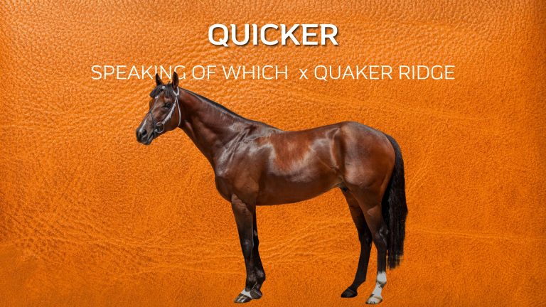 QUICKER