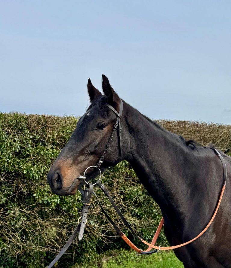 TSARINAS SONG (GB)