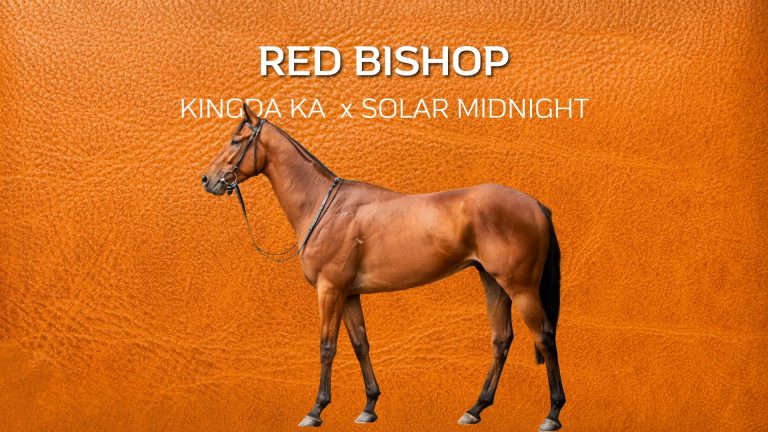RED BISHOP