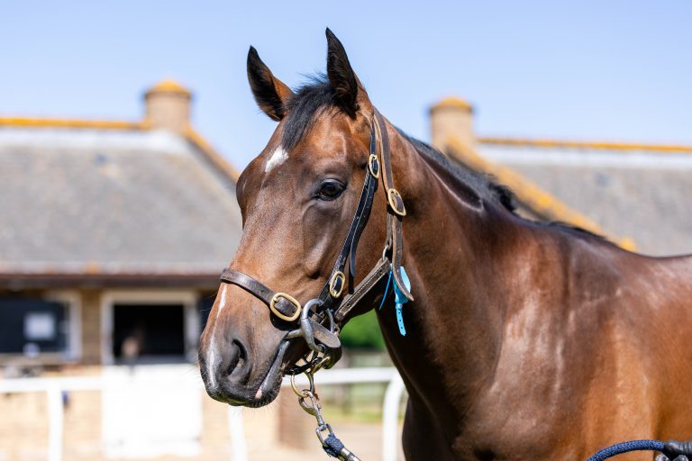 SPARKSMITH (GB)