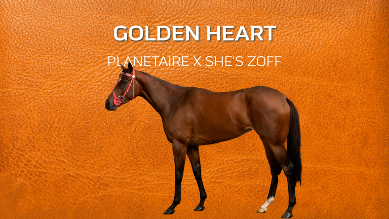 GOLDEN HEART