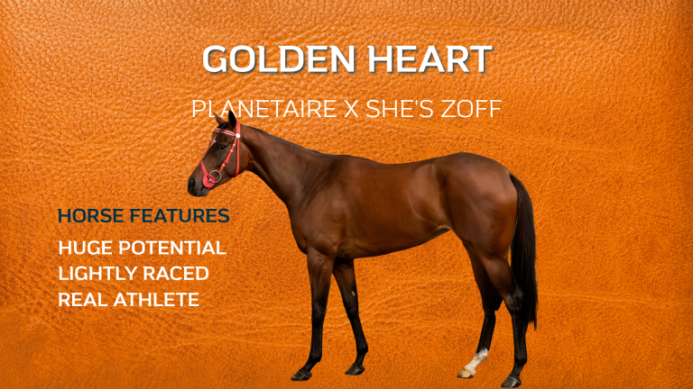Golden Heart to drop back in distance after podium finish
