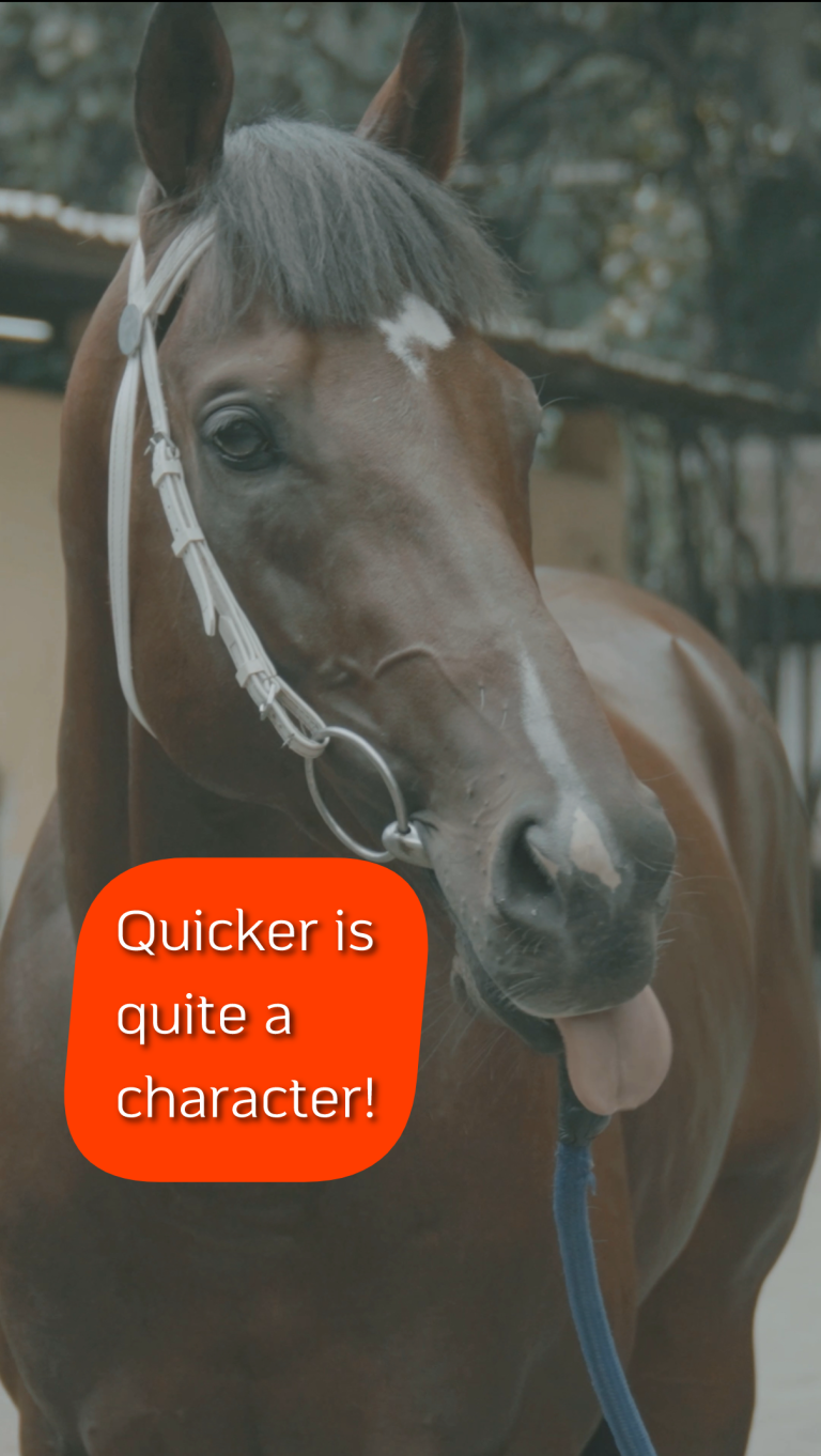 Malesh Narredu on Quicker