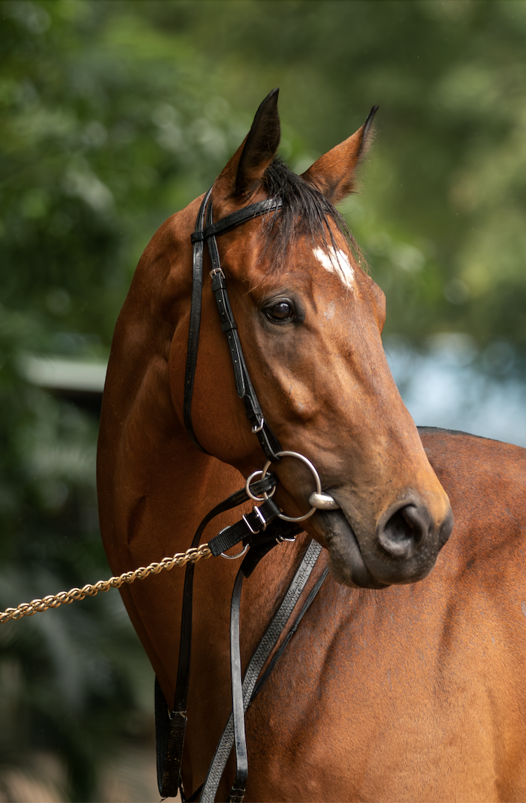 Red Bishop gets a well-earned shower