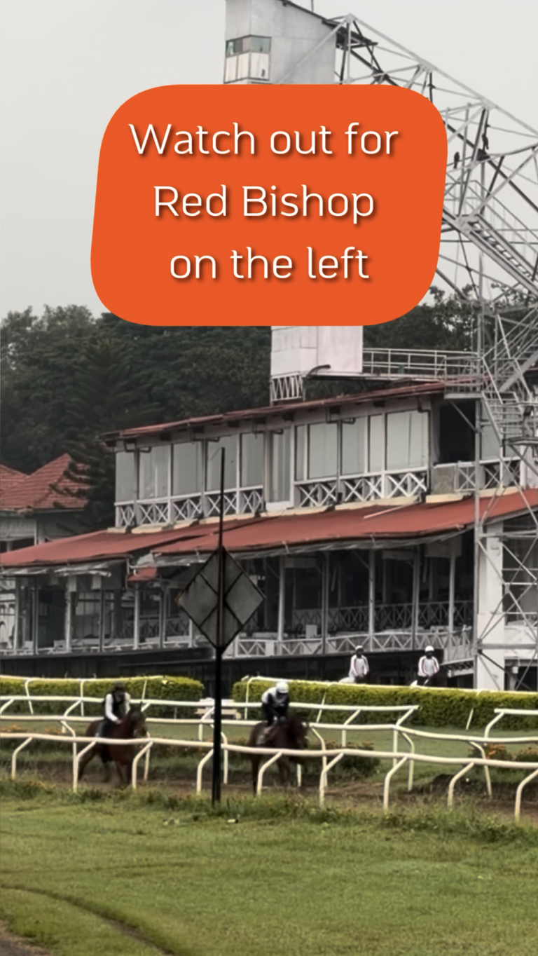 Red Bishop final gallop before Deccan Derby
